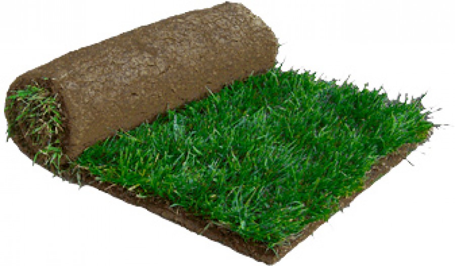 Buy Sod In Canada At Mavisgardens Com