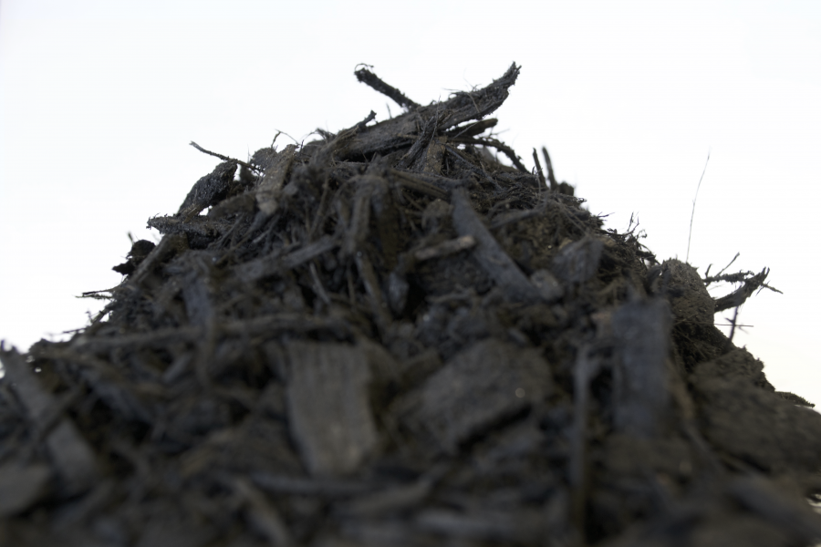 black mulch