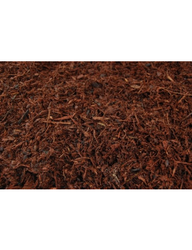 Rustic Red Pine