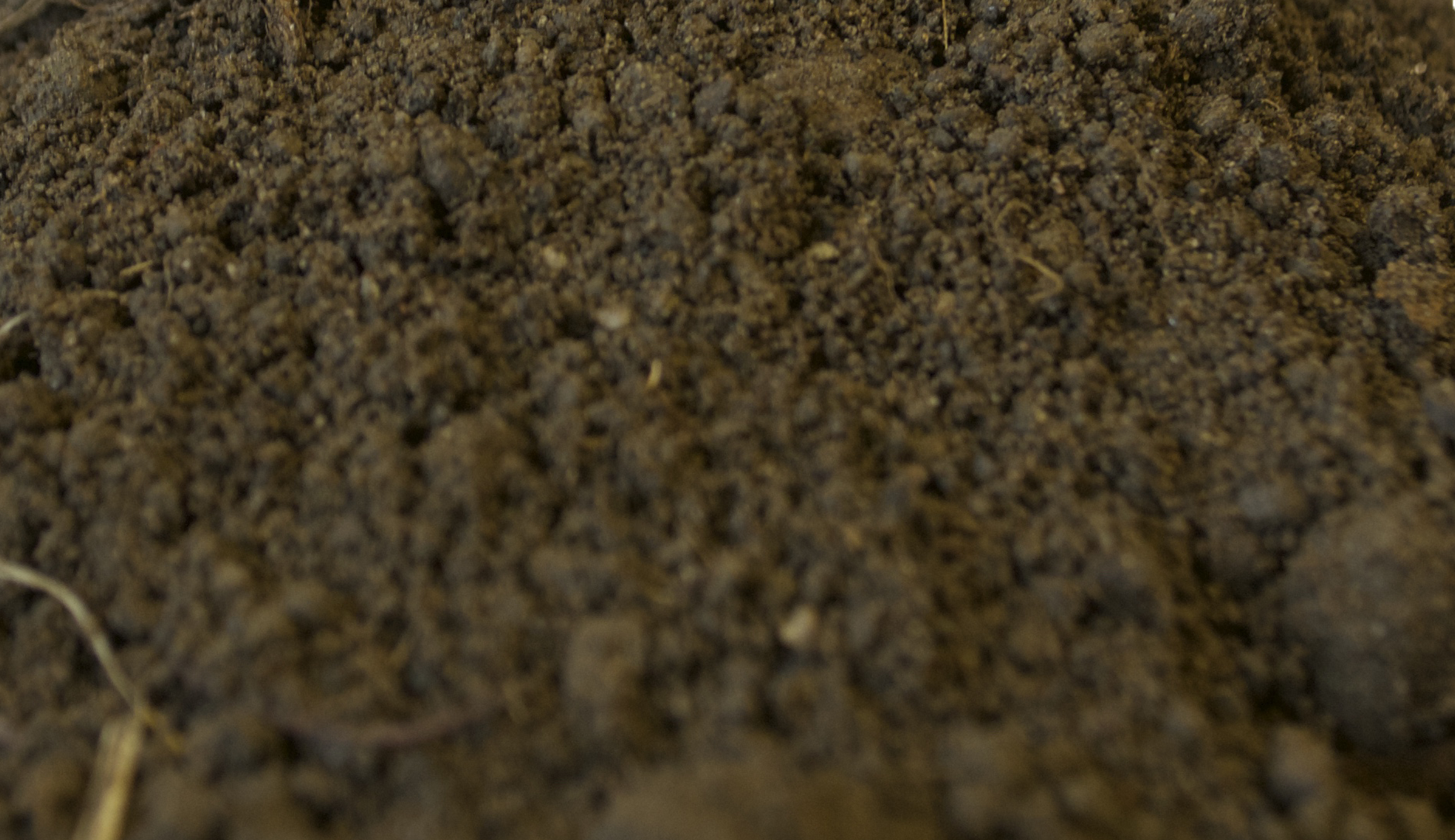 Buy Topsoil in Canada at